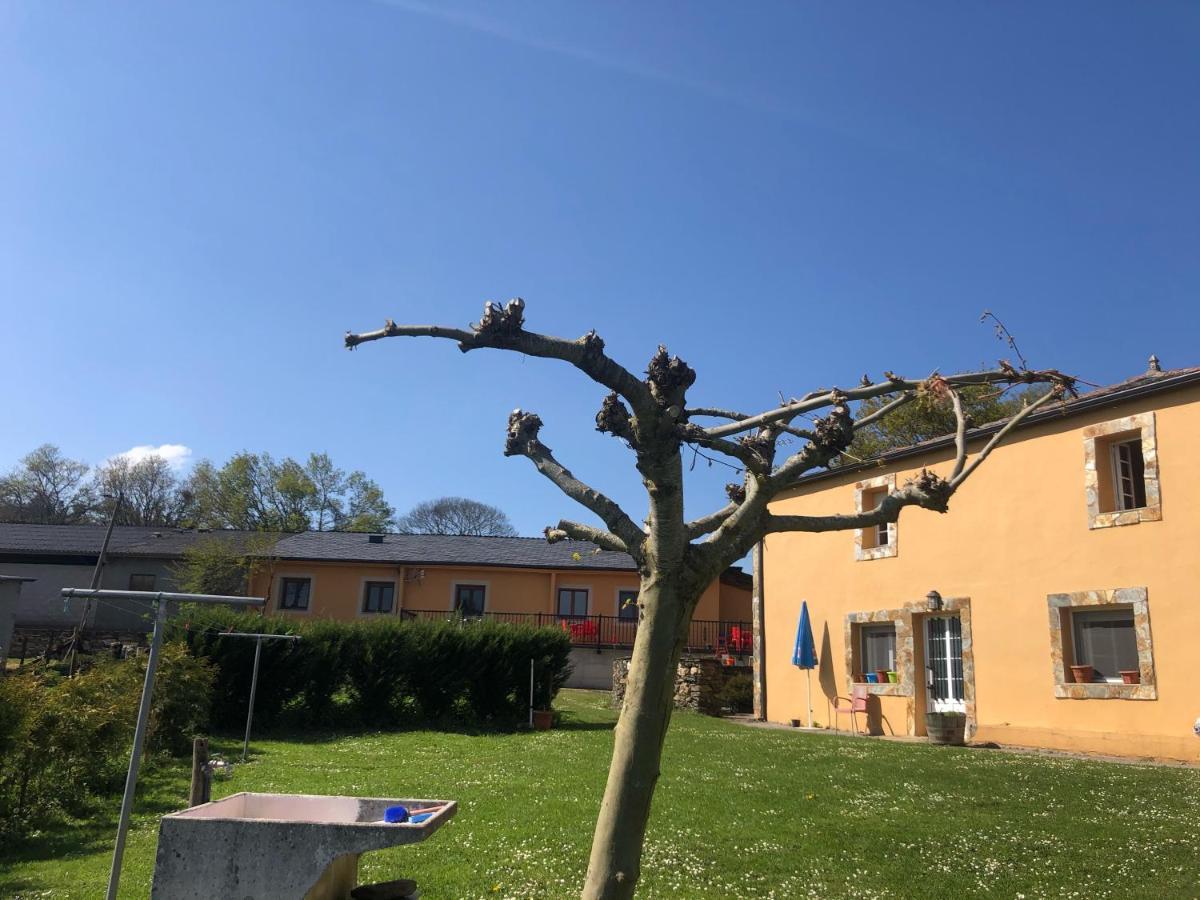 Albergue O Cruceiro Salgueiros Екстериор снимка
